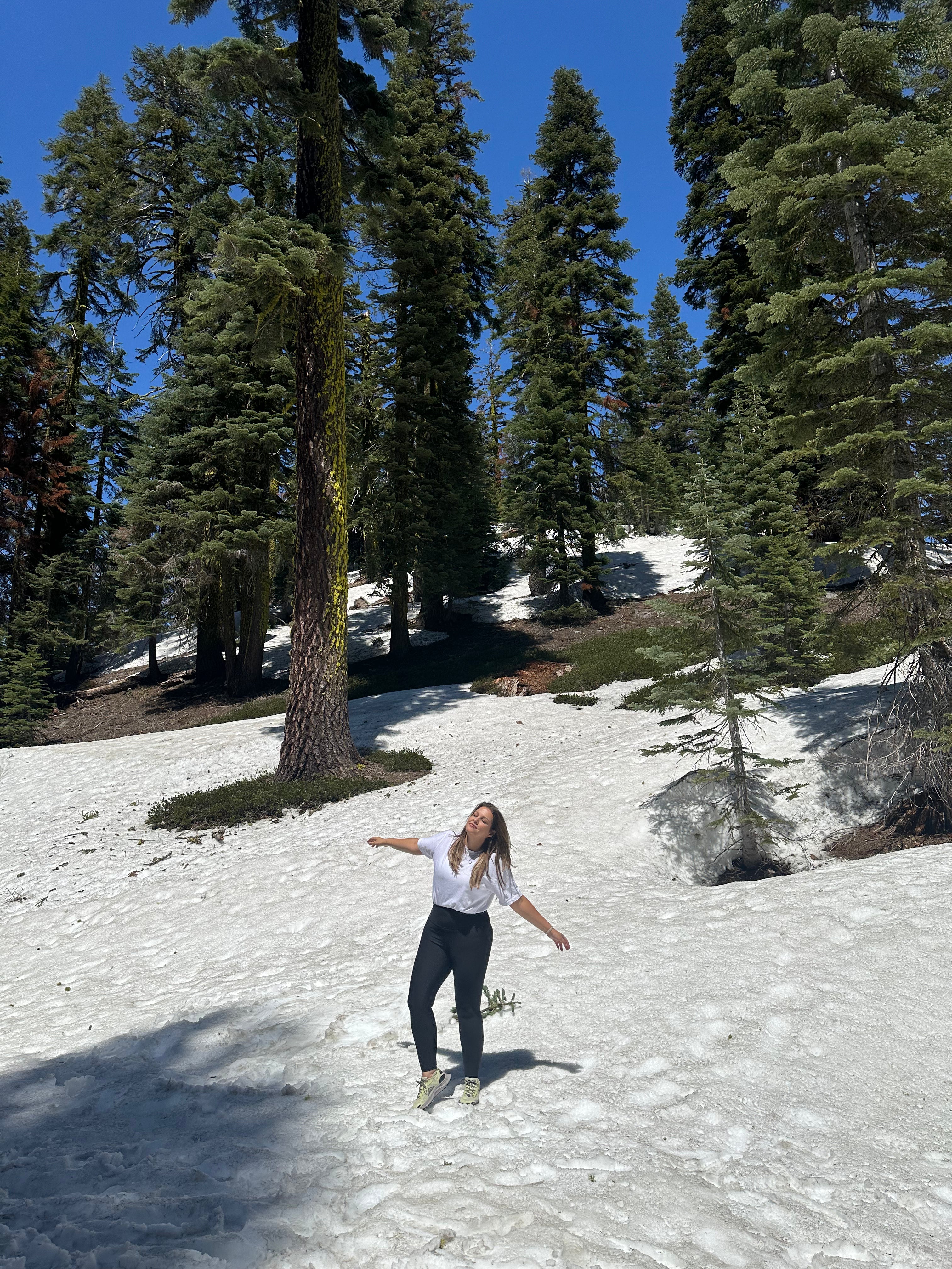 files/shasta_15.heic